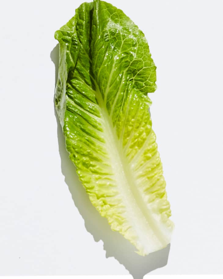Types of Lettuce A Visual Guide to Salad Greens The Kitchn